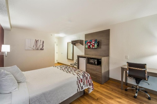 Red Roof Inn Rochester - Airport image 25